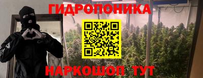 прущие крисы Кулебаки