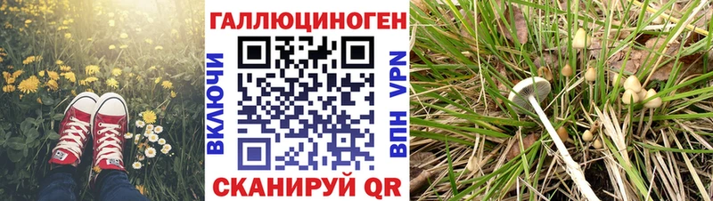 omg сайт Минусинск Галлюциногенные грибы GOLDEN TEACHER