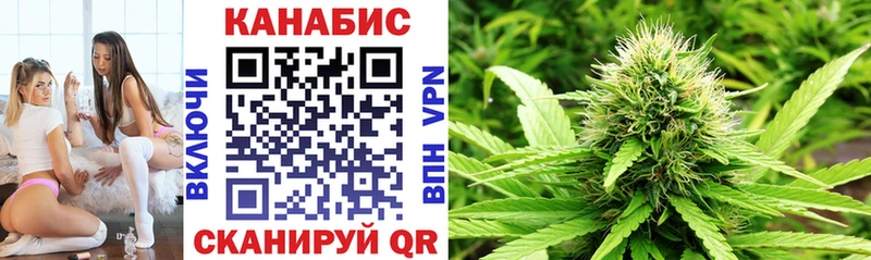 Конопля гибрид Минусинск